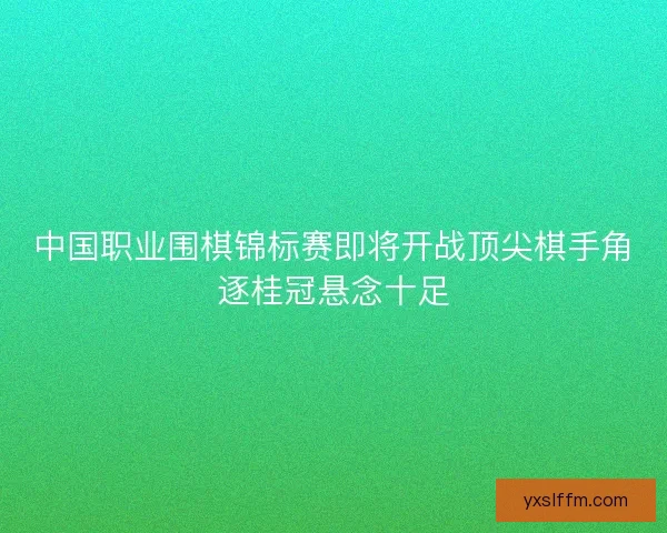 中国职业围棋锦标赛即将开战顶尖棋手角逐桂冠悬念十足